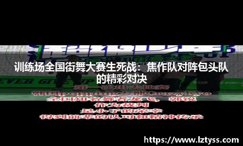 球速体育平台登录入口