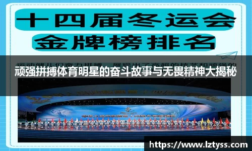 球速体育官方