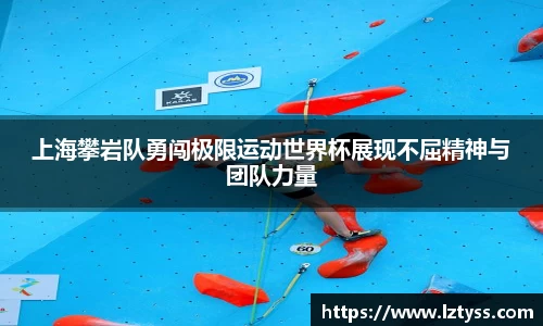 球速体育